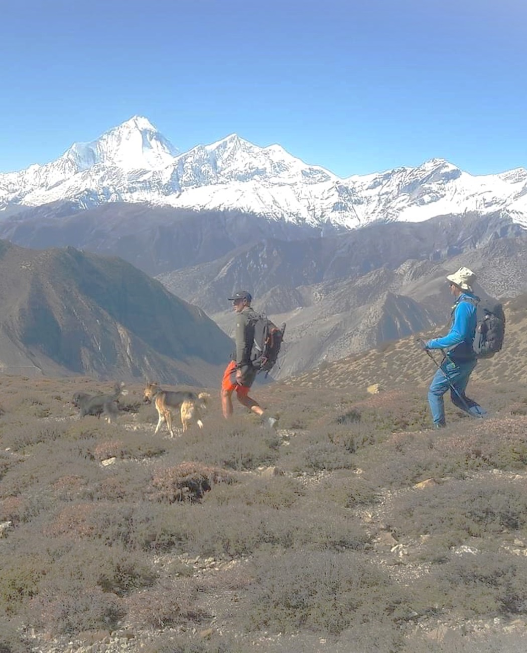 Muktinath (3760m) - Lupra (2790m) - Jomosom (2710m)