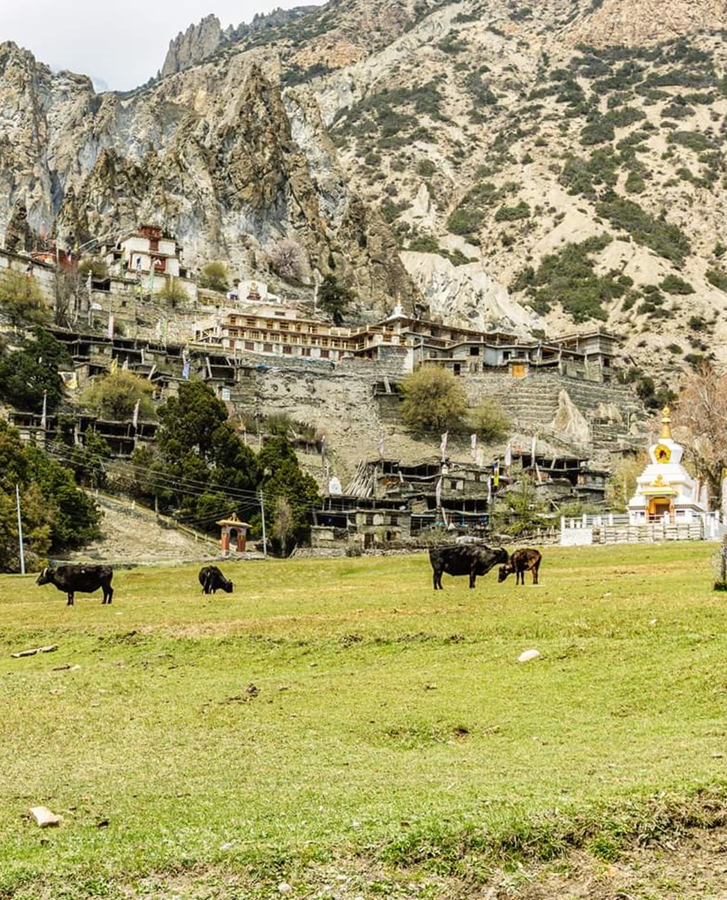 Dharapani (1860m) - Chame (2670m)