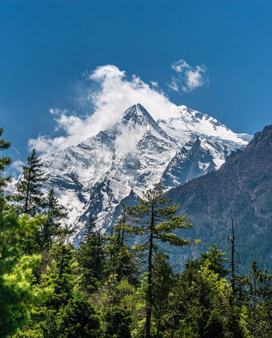 Trek vers Manang (3450m)