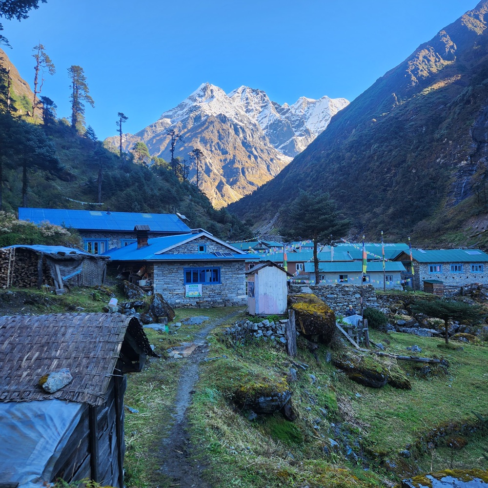 Chetra Khola (3100m) – Kote (3600m)