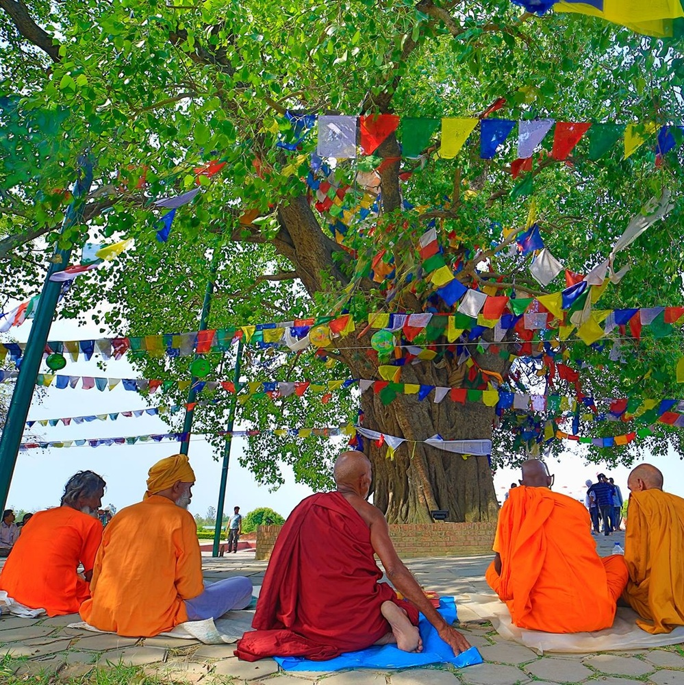 Trek vers Balthali Village - Panauti - Katmandou