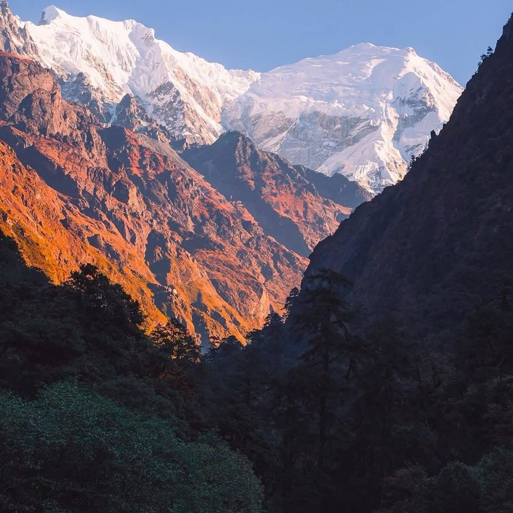 Trek Vallée du Langtang au Népal
